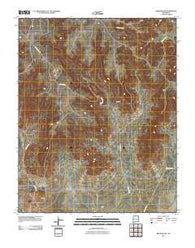 Beenham SW New Mexico Historical topographic map, 1:24000 scale, 7.5 X 7.5 Minute, Year 2010