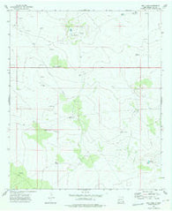 Bell Lake New Mexico Historical topographic map, 1:24000 scale, 7.5 X 7.5 Minute, Year 1973
