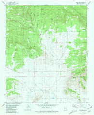 Bell Peak New Mexico Historical topographic map, 1:24000 scale, 7.5 X 7.5 Minute, Year 1981