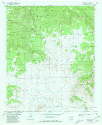 Bell Peak New Mexico Historical topographic map, 1:24000 scale, 7.5 X 7.5 Minute, Year 1981
