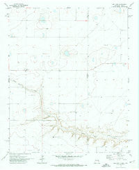 Bellview New Mexico Historical topographic map, 1:24000 scale, 7.5 X 7.5 Minute, Year 1971