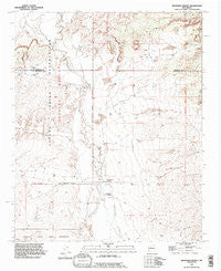 Benavidez Ranch New Mexico Historical topographic map, 1:24000 scale, 7.5 X 7.5 Minute, Year 1990