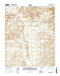 Benavidez Ranch New Mexico Current topographic map, 1:24000 scale, 7.5 X 7.5 Minute, Year 2017