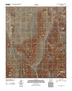 Big Gyp Mountain New Mexico Historical topographic map, 1:24000 scale, 7.5 X 7.5 Minute, Year 2010