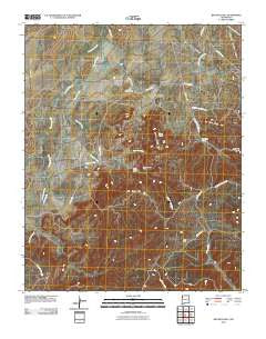Big Rock Hill New Mexico Historical topographic map, 1:24000 scale, 7.5 X 7.5 Minute, Year 2010