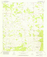 Bigbee Draw New Mexico Historical topographic map, 1:24000 scale, 7.5 X 7.5 Minute, Year 1972