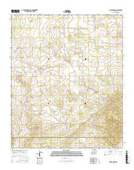 Bigbee Draw New Mexico Current topographic map, 1:24000 scale, 7.5 X 7.5 Minute, Year 2017