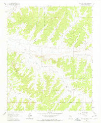Billy Rice Canyon New Mexico Historical topographic map, 1:24000 scale, 7.5 X 7.5 Minute, Year 1963