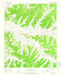 Billy Rice Canyon New Mexico Historical topographic map, 1:24000 scale, 7.5 X 7.5 Minute, Year 1963