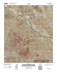 Bisbee Hills New Mexico Historical topographic map, 1:24000 scale, 7.5 X 7.5 Minute, Year 2010