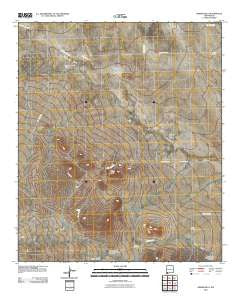 Bisbee Hills New Mexico Historical topographic map, 1:24000 scale, 7.5 X 7.5 Minute, Year 2010