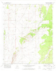 Bishop Ranch New Mexico Historical topographic map, 1:24000 scale, 7.5 X 7.5 Minute, Year 1972