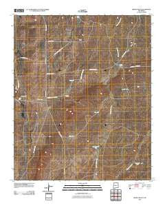 Bishop Ranch New Mexico Historical topographic map, 1:24000 scale, 7.5 X 7.5 Minute, Year 2010