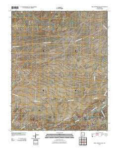 Bisti Trading Post New Mexico Historical topographic map, 1:24000 scale, 7.5 X 7.5 Minute, Year 2010