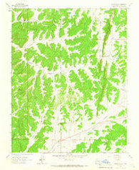 Bixler Ranch New Mexico Historical topographic map, 1:24000 scale, 7.5 X 7.5 Minute, Year 1963