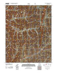 Bixler Ranch New Mexico Historical topographic map, 1:24000 scale, 7.5 X 7.5 Minute, Year 2011