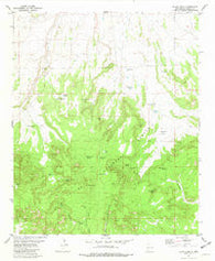 Black Hill New Mexico Historical topographic map, 1:24000 scale, 7.5 X 7.5 Minute, Year 1981