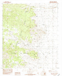 Black Point New Mexico Historical topographic map, 1:24000 scale, 7.5 X 7.5 Minute, Year 1982