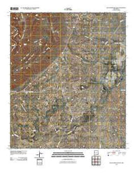 Black River Village New Mexico Historical topographic map, 1:24000 scale, 7.5 X 7.5 Minute, Year 2010
