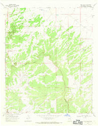 Blue Hills New Mexico Historical topographic map, 1:24000 scale, 7.5 X 7.5 Minute, Year 1967
