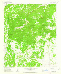 Blue Mesa New Mexico Historical topographic map, 1:24000 scale, 7.5 X 7.5 Minute, Year 1961