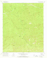 Blue Mountain New Mexico Historical topographic map, 1:24000 scale, 7.5 X 7.5 Minute, Year 1964