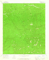 Blue Mountain New Mexico Historical topographic map, 1:24000 scale, 7.5 X 7.5 Minute, Year 1964