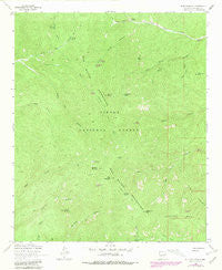 Blue Mountain New Mexico Historical topographic map, 1:24000 scale, 7.5 X 7.5 Minute, Year 1964