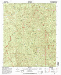 Blue Mountain New Mexico Historical topographic map, 1:24000 scale, 7.5 X 7.5 Minute, Year 1995
