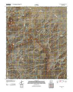 Blue Hills New Mexico Historical topographic map, 1:24000 scale, 7.5 X 7.5 Minute, Year 2010
