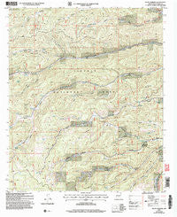 Bluff Springs New Mexico Historical topographic map, 1:24000 scale, 7.5 X 7.5 Minute, Year 2004