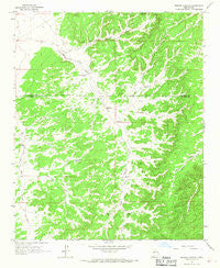 Bonine Canyon New Mexico Historical topographic map, 1:24000 scale, 7.5 X 7.5 Minute, Year 1964
