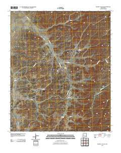 Bonine Canyon New Mexico Historical topographic map, 1:24000 scale, 7.5 X 7.5 Minute, Year 2010