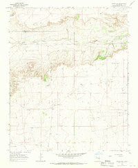 Borica SW New Mexico Historical topographic map, 1:24000 scale, 7.5 X 7.5 Minute, Year 1966