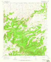 Borrego Pass New Mexico Historical topographic map, 1:24000 scale, 7.5 X 7.5 Minute, Year 1963