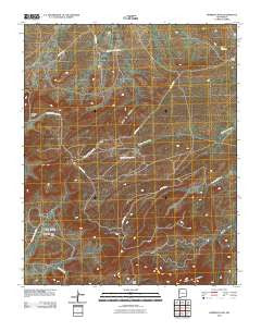 Borrego Pass New Mexico Historical topographic map, 1:24000 scale, 7.5 X 7.5 Minute, Year 2010