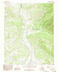 Brazos New Mexico Historical topographic map, 1:24000 scale, 7.5 X 7.5 Minute, Year 1983