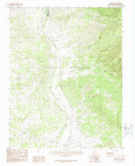 Brazos New Mexico Historical topographic map, 1:24000 scale, 7.5 X 7.5 Minute, Year 1983