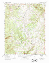 Brazos Peak New Mexico Historical topographic map, 1:62500 scale, 15 X 15 Minute, Year 1955