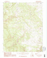 Brazos Peak New Mexico Historical topographic map, 1:24000 scale, 7.5 X 7.5 Minute, Year 1983