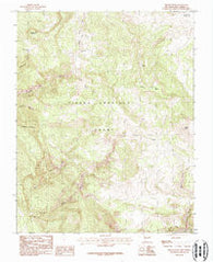 Brazos Peak New Mexico Historical topographic map, 1:24000 scale, 7.5 X 7.5 Minute, Year 1983
