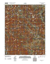 Brazos Peak New Mexico Historical topographic map, 1:24000 scale, 7.5 X 7.5 Minute, Year 2010