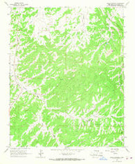 Bread Springs New Mexico Historical topographic map, 1:24000 scale, 7.5 X 7.5 Minute, Year 1963