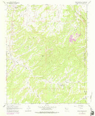 Bread Springs New Mexico Historical topographic map, 1:24000 scale, 7.5 X 7.5 Minute, Year 1963