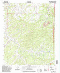 Bread Springs New Mexico Historical topographic map, 1:24000 scale, 7.5 X 7.5 Minute, Year 1995