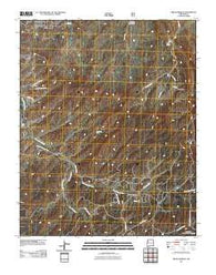 Bread Springs New Mexico Historical topographic map, 1:24000 scale, 7.5 X 7.5 Minute, Year 2011