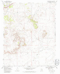 Briscoe Ranch New Mexico Historical topographic map, 1:24000 scale, 7.5 X 7.5 Minute, Year 1968