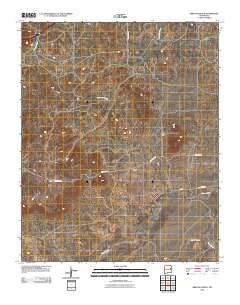 Briscoe Ranch New Mexico Historical topographic map, 1:24000 scale, 7.5 X 7.5 Minute, Year 2010
