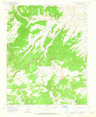 Broke Off Mountain New Mexico Historical topographic map, 1:24000 scale, 7.5 X 7.5 Minute, Year 1963