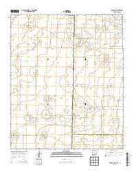 Bronco NE New Mexico Historical topographic map, 1:24000 scale, 7.5 X 7.5 Minute, Year 2013